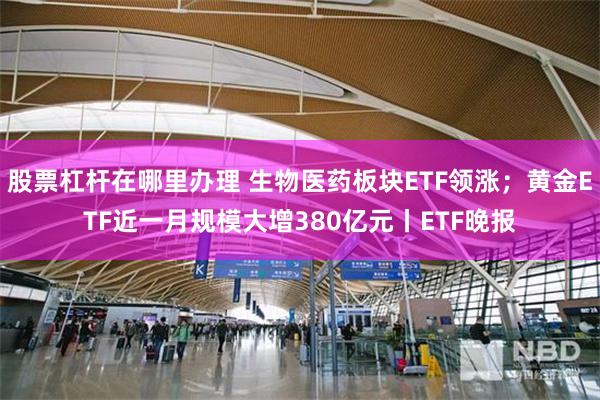 股票杠杆在哪里办理 生物医药板块ETF领涨；黄金ETF近一月规模大增380亿元丨ETF晚报