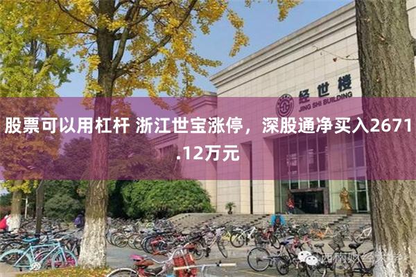 股票可以用杠杆 浙江世宝涨停，深股通净买入2671.12万元