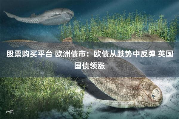 股票购买平台 欧洲债市：欧债从跌势中反弹 英国国债领涨