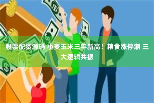 股票配资源码 小麦玉米三年新高！粮食涨停潮 三大逻辑共振