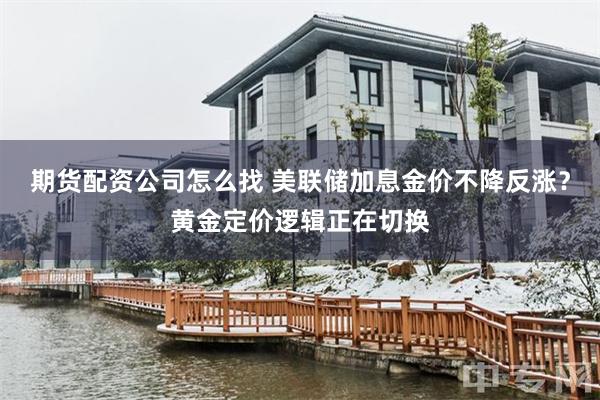 期货配资公司怎么找 美联储加息金价不降反涨？黄金定价逻辑正在切换