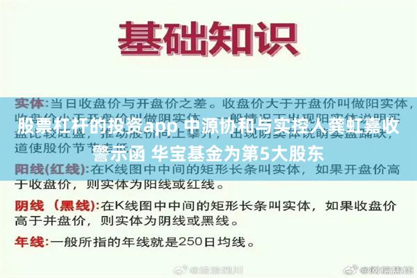 股票杠杆的投资app 中源协和与实控人龚虹嘉收警示函 华宝基金为第5大股东
