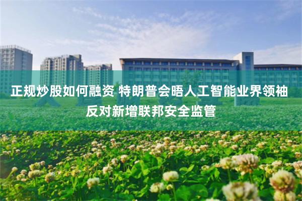 正规炒股如何融资 特朗普会晤人工智能业界领袖 反对新增联邦安全监管
