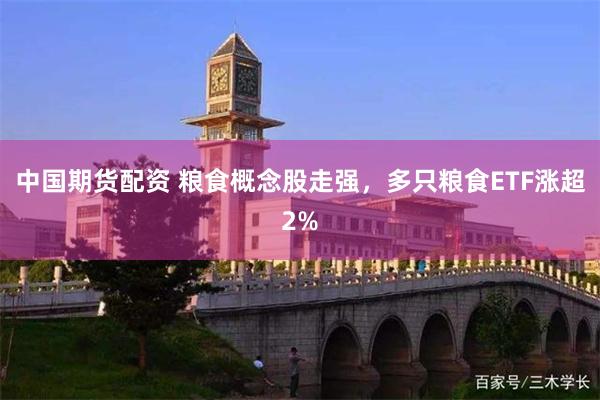 中国期货配资 粮食概念股走强，多只粮食ETF涨超2%