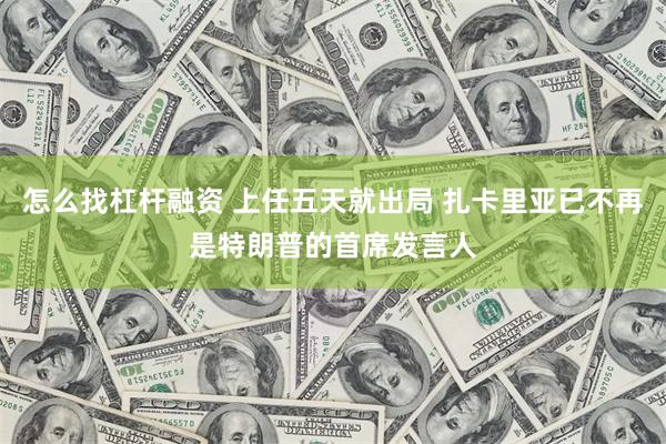 怎么找杠杆融资 上任五天就出局 扎卡里亚已不再是特朗普的首席发言人
