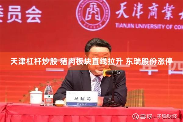 天津杠杆炒股 猪肉板块直线拉升 东瑞股份涨停