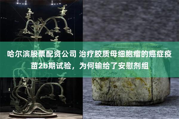哈尔滨股票配资公司 治疗胶质母细胞瘤的癌症疫苗2b期试验，为何输给了安慰剂组