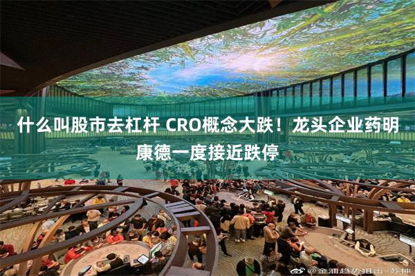 什么叫股市去杠杆 CRO概念大跌！龙头企业药明康德一度接近跌停